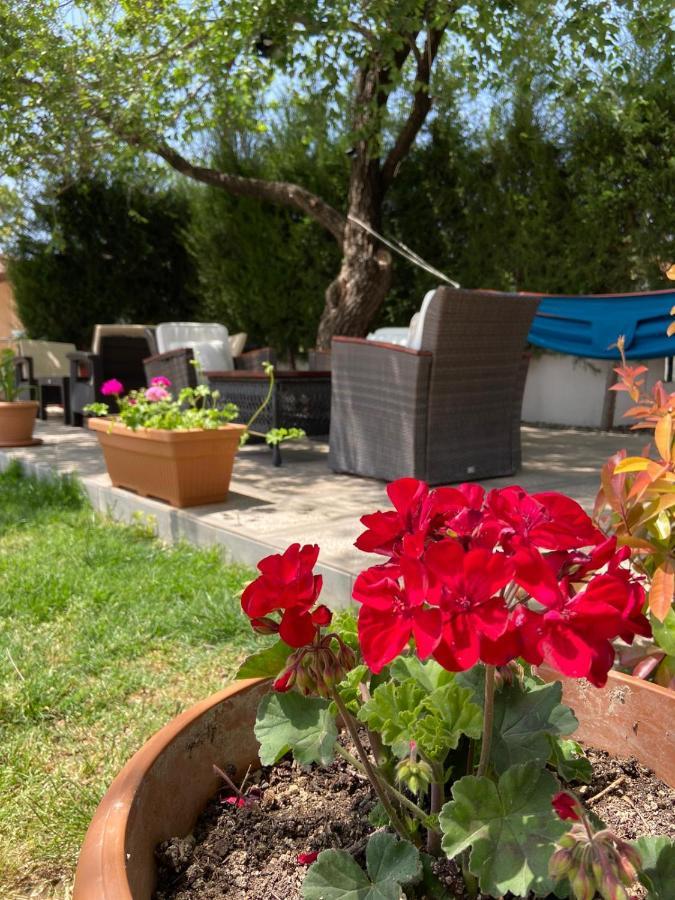 Safak Apart & Hotel Dalyan Extérieur photo